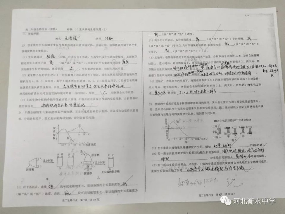 深入解析衡水中学最新月考试卷，知识点与解题策略的探讨