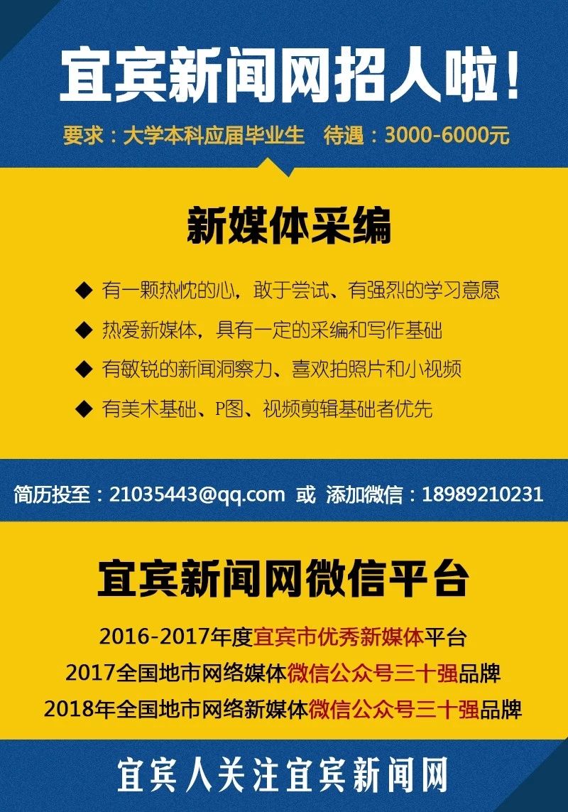 宜宾招聘网最新招聘信息，求职者的福音