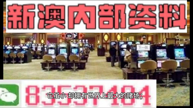 2024澳门正版精准资料，完美解答解释落实_Sims75.24.69