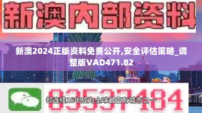 2024新奥资料免费精准051，精准解答解释落实_VIP27.42.47